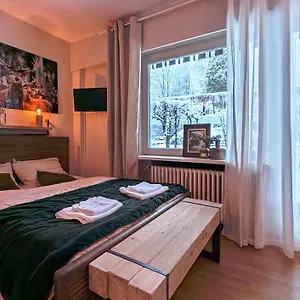  Apartment Au Petit Bois